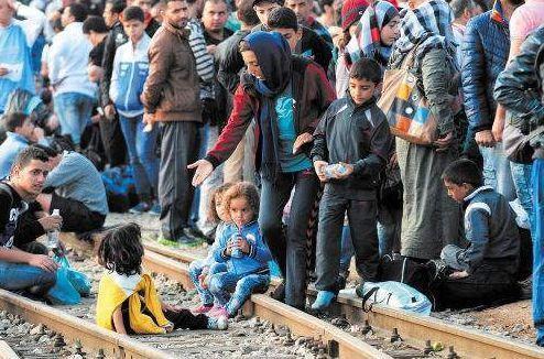 中国已接收31万难民！打脸外媒无耻言论，韩国人：中东难民不能收