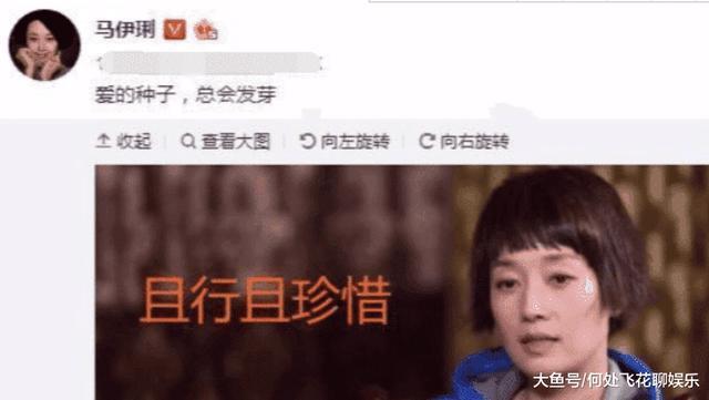 马伊琍深夜发微博，疑是文章姚笛又走到了一起！