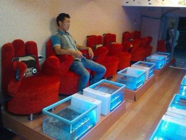 “鱼疗”餐厅异常的火爆，老板却苦不堪言：养的鱼都被“熏死了”