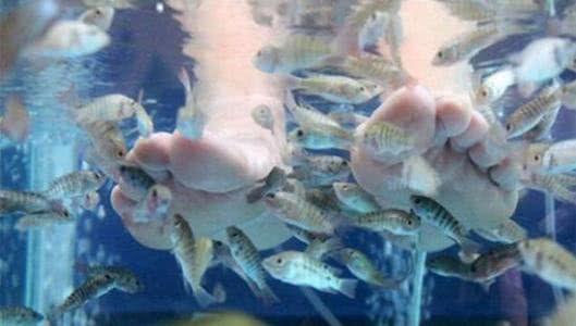 “鱼疗”餐厅异常的火爆，老板却苦不堪言：养的鱼都被“熏死了”