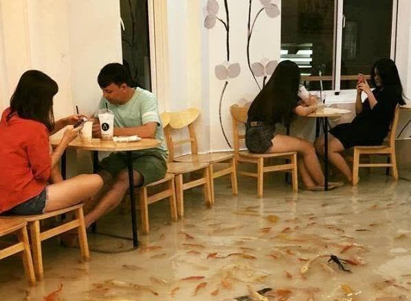 “鱼疗”餐厅异常的火爆，老板却苦不堪言：养的鱼都被“熏死了”