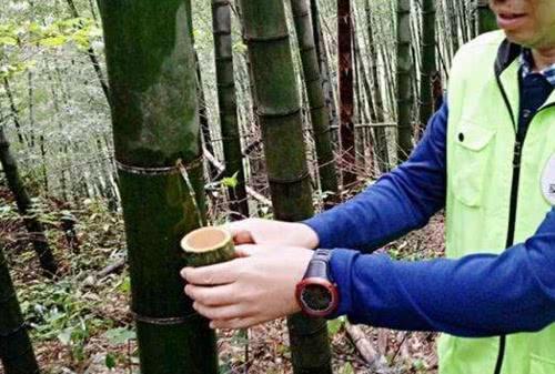 “竹筒酒”骗局至今不停！刚注入“特制”酒，立马联系卖家高价出