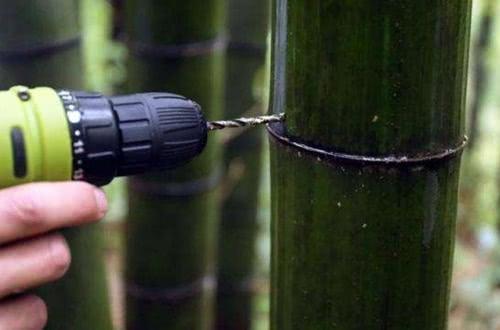 “竹筒酒”骗局至今不停！刚注入“特制”酒，立马联系卖家高价出