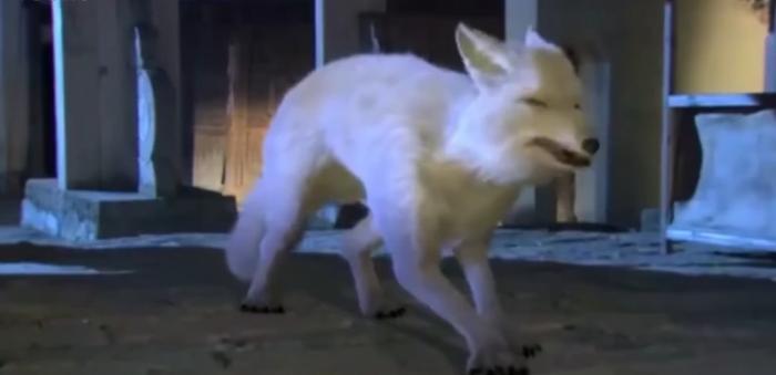 动物修行得道成仙都说是瞎编的，却不是空穴来风，有它的依据所在