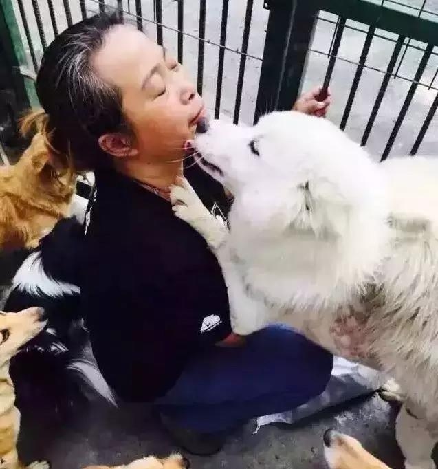 南京有个地方是所有流浪狗的天堂，这位大姐是所有狗子的妈妈