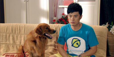 ​超贱的搞笑美男陈赫图片