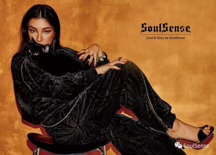 SoulSense 星志 刘承羽，唯一一个敢踹马云一脚的人