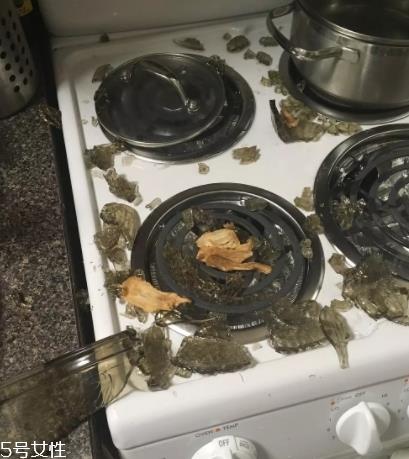 康宁锅会爆炸吗？请小心使用