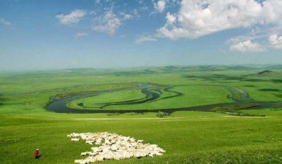 ​属蛇男和属猪女的婚姻怎么样  属蛇男和属猪女谁克谁