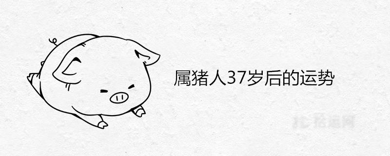 属猪人37岁后的运势怎么样 什么时候翻身