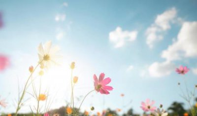 ​100平房子设计费多少100平米的房子普通装修的话，大概需要多少钱？