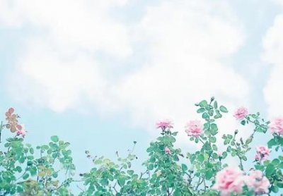 ​上海市律师事务所排行榜  前十位上海市律师事务所排行榜