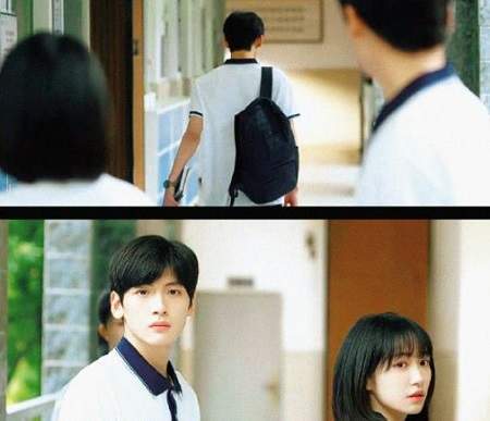 树下有片红房子主演是谁？《树下有片红房子》演员表