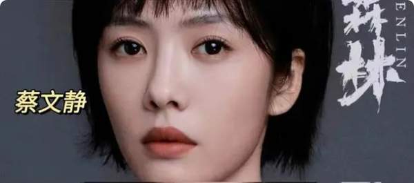 钢铁森林电视剧什么时候上映？钢铁森林是谁主演的