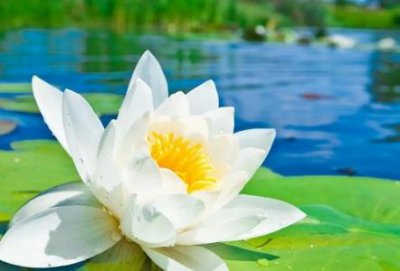 ​10天快速变胖的方法每天都吃啥10天快速变胖的方法有哪些