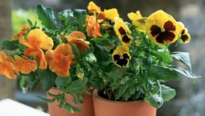 ​图文印刷店一年挣多少钱图文快印店一年能赚多少钱