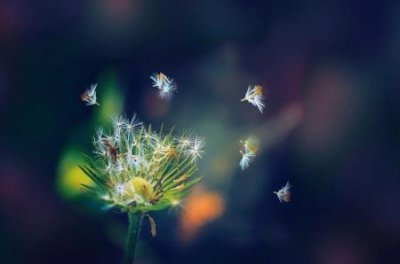 ​饮水机按钮哪个是开？如何正确使用饮水机开关