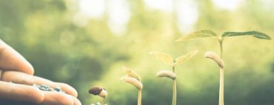 ​大写八写的正确方法 大写八如何写