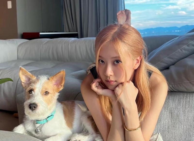 劝女朋友回心转意的话 哄女朋友回头的话