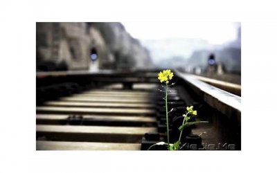 ​男人开始冷落你的时候女人怎么办