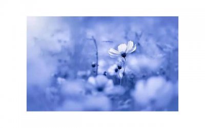 ​容易出轨女人的性格是什么样 如何通过女生内裤看性格特点