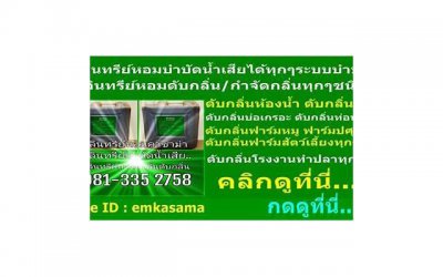 ​已婚女和未婚男很痛苦（已婚女人比已婚男人孤独）