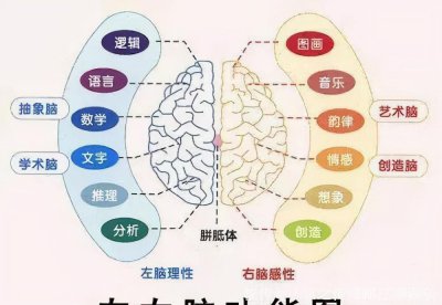 ​被平权运动所遗忘的群体-左利手