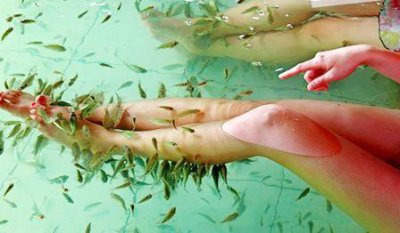 ​这脚到底有多臭？一男子做鱼疗足浴，结果鱼全被臭死了