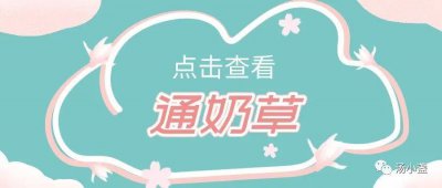 ​妇女之友：通奶草~