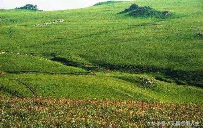 ​山西省大同市灵丘县