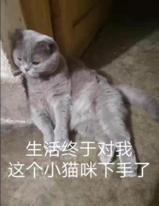 ​你以为你以为的就是你以为的吗？错了！