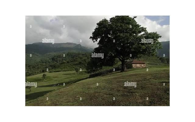 微信聊天怎么追妹子赢得好感(怎么在微信里撩妹说情话)