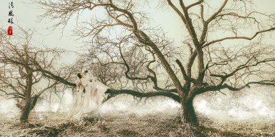 ​「虐心乱世烽火古言推书」三更桃花鼓：陌上花开两处相思