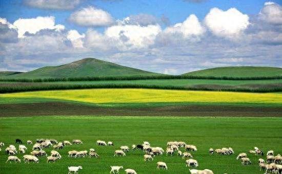 如今，现在的内蒙古人，如何看待现在的蒙古国人？