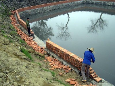 ​桂花鱼怎么养殖？掌握6方面的养殖知识，养出高产量桂花鱼