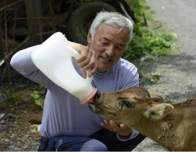 ​日本核辐射的唯一幸存者，一直照顾“变异体”，日本政府恨透了他