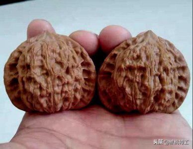 ​100种文玩核桃品种分享之17：崔凯公子帽