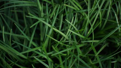 ​教你轻松调出墨绿色