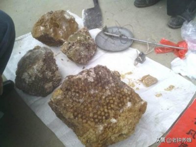 ​傻傻分不清楚，石蜜真的是蜂蜜吗？