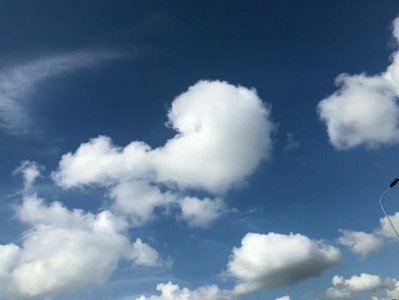 ​费斯丁格法则