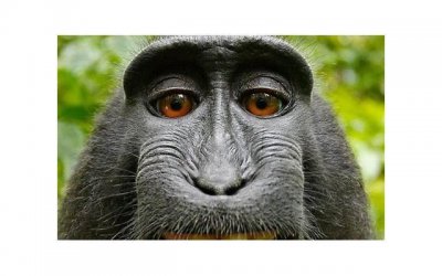 ​嫂子离婚后，我全家重归农门，我那个爱炫富的母亲，成了“老赖”