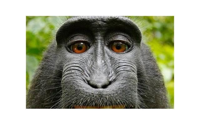 嫂子离婚后，我全家重归农门，我那个爱炫富的母亲，成了“老赖”