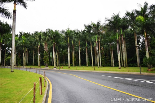 仙湖，神仙居住的地方，香火旺盛的弘法寺，你可曾窥见仙湖的真容