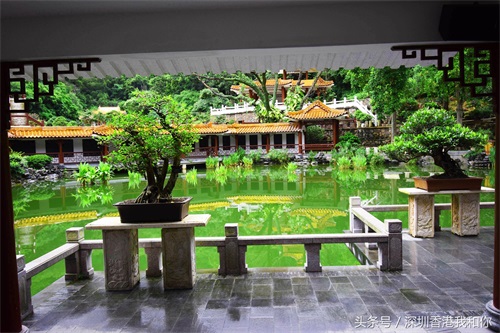 仙湖，神仙居住的地方，香火旺盛的弘法寺，你可曾窥见仙湖的真容