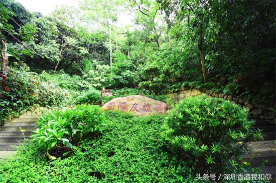仙湖，神仙居住的地方，香火旺盛的弘法寺，你可曾窥见仙湖的真容