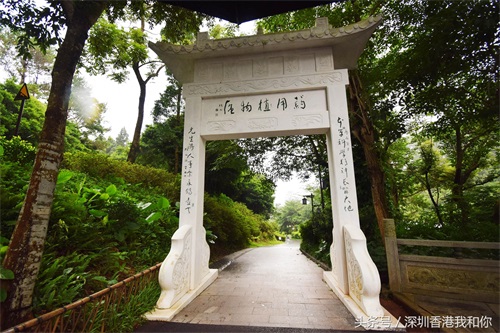 仙湖，神仙居住的地方，香火旺盛的弘法寺，你可曾窥见仙湖的真容