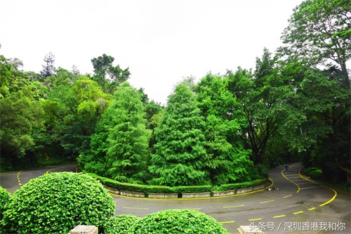 仙湖，神仙居住的地方，香火旺盛的弘法寺，你可曾窥见仙湖的真容