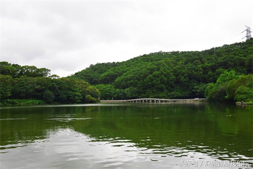 仙湖，神仙居住的地方，香火旺盛的弘法寺，你可曾窥见仙湖的真容