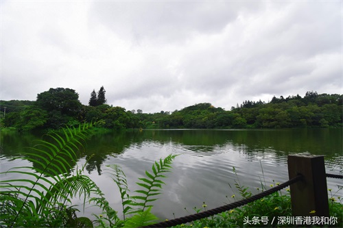 仙湖，神仙居住的地方，香火旺盛的弘法寺，你可曾窥见仙湖的真容