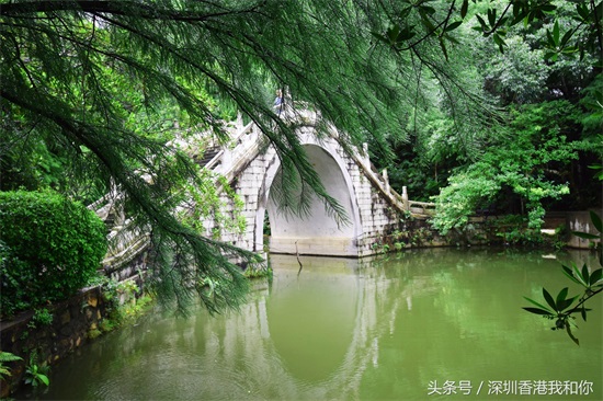 仙湖，神仙居住的地方，香火旺盛的弘法寺，你可曾窥见仙湖的真容